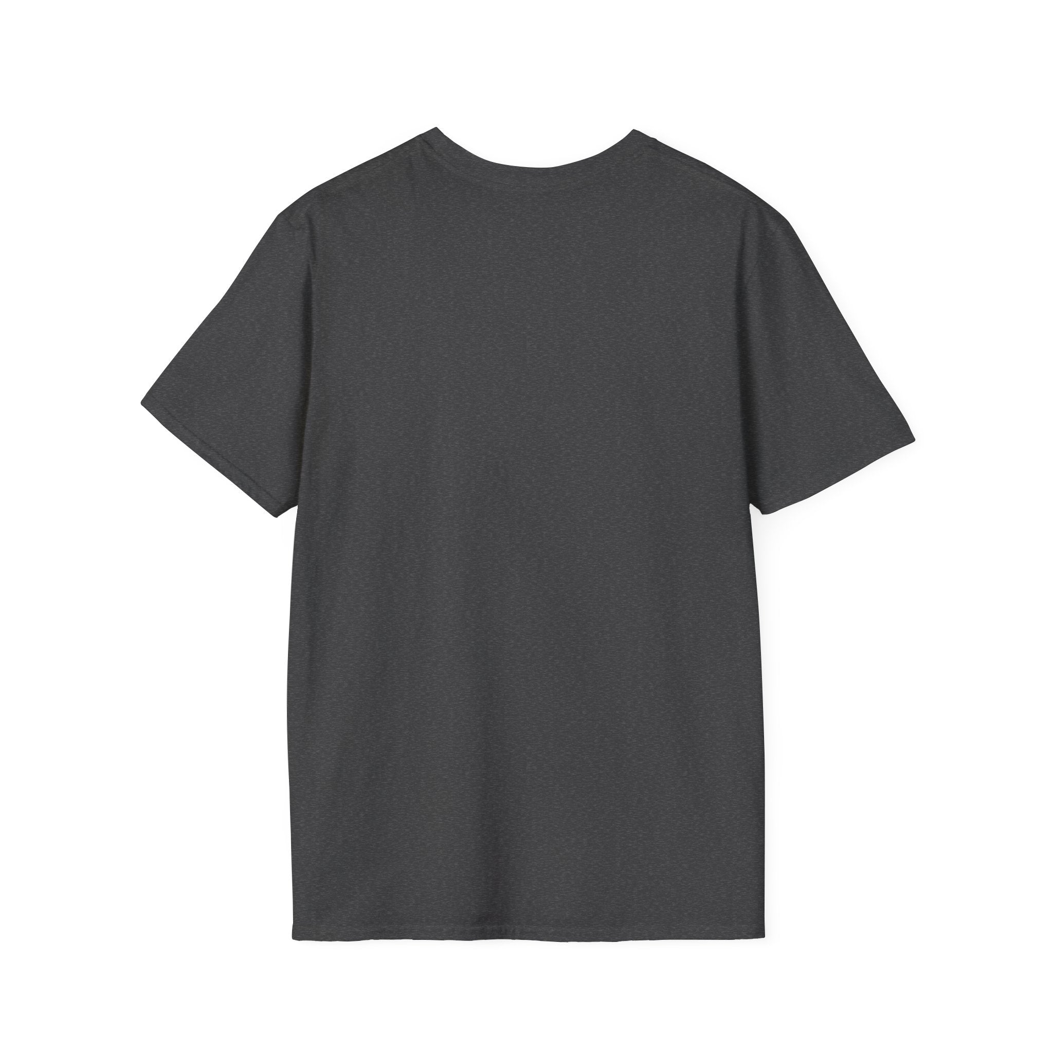 Christian Lion T-Shirt — Philippians 4:13 “I Can Do All Things Through Christ Who Strengthens Me”